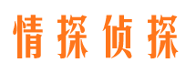 彭阳市侦探公司